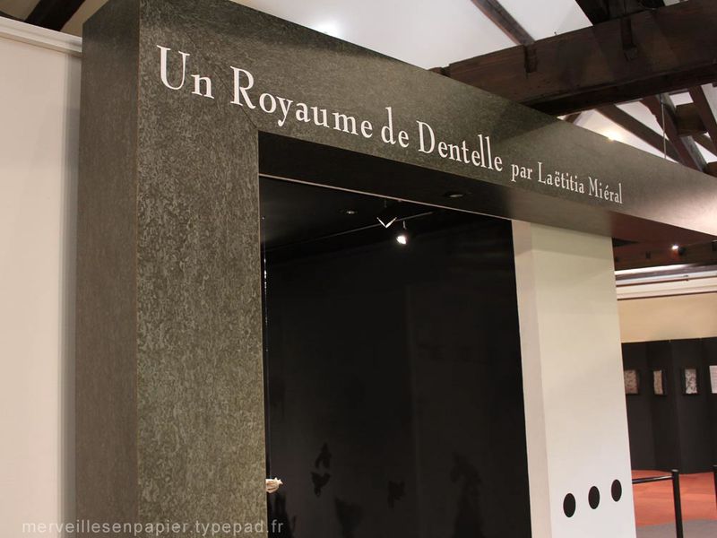 Un-royaume-de-dentelle-11