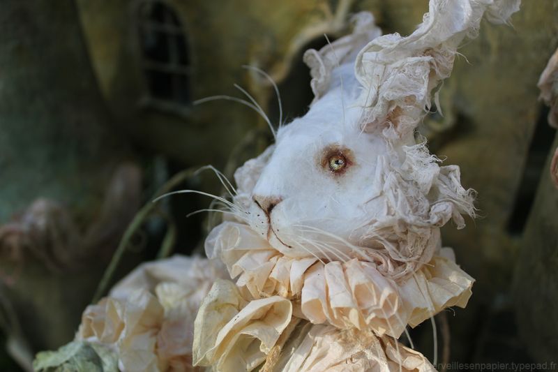 Lapin-blanc-alice-5