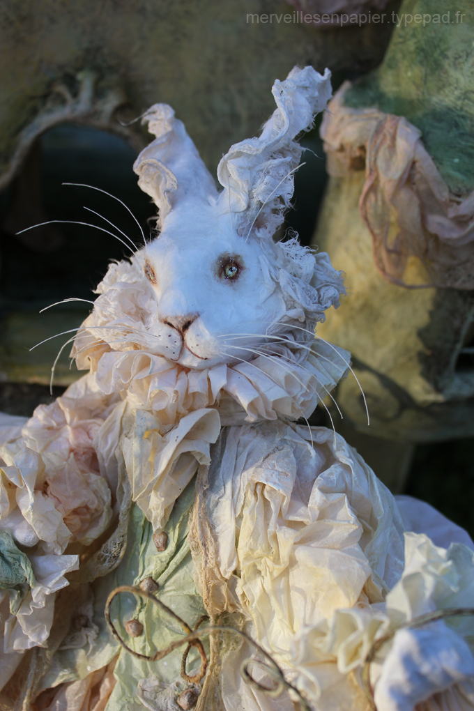 Lapin-blanc