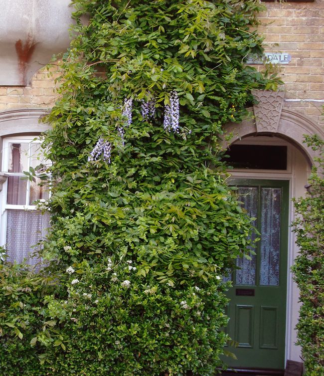 Porte-shanklin Porte-shanklin