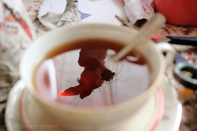 Tasse Tasse