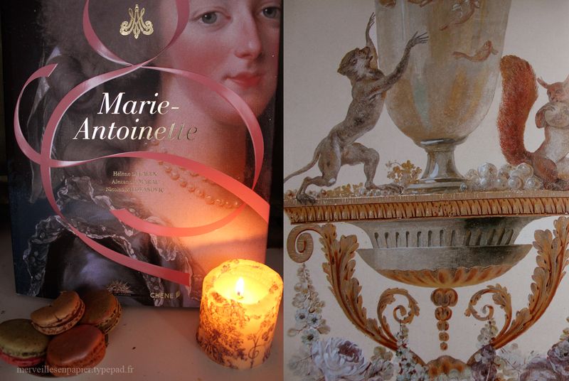 Marie-antoinette