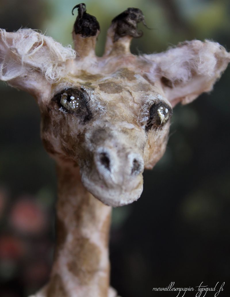 Girafe-4