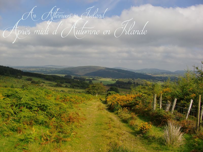 Wicklow-mountains