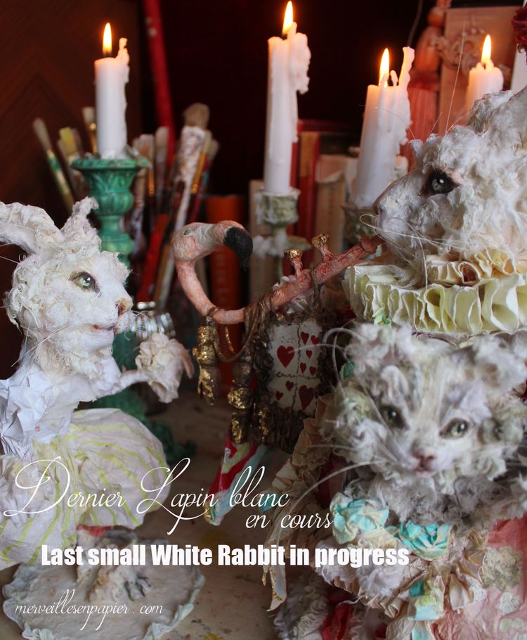 Les-lapins-blancs-d'alice-