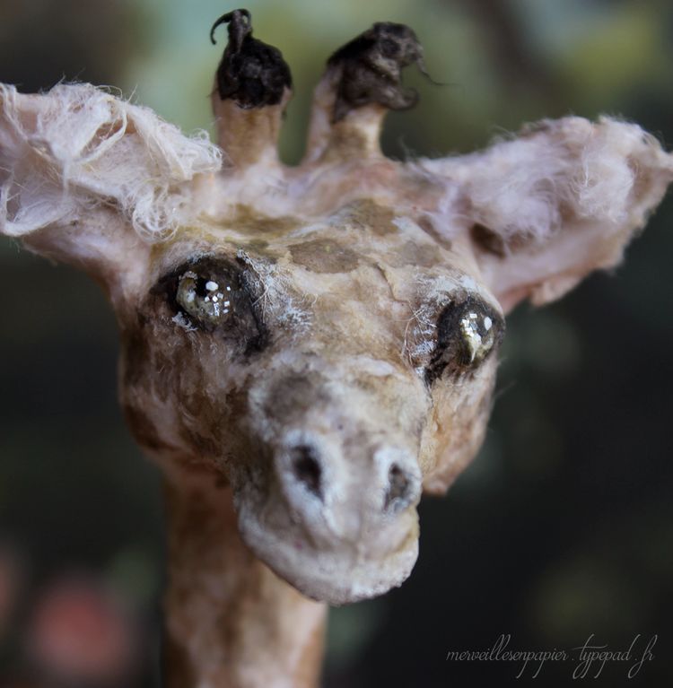 Girafe-insta-1